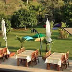 Gocek Arion