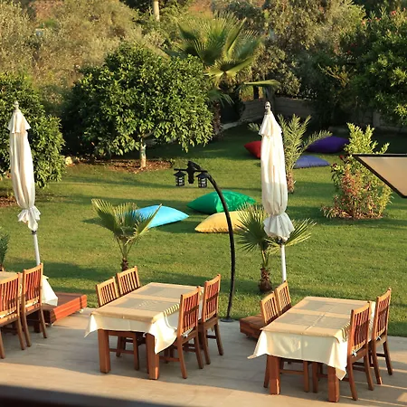 Gocek Arion