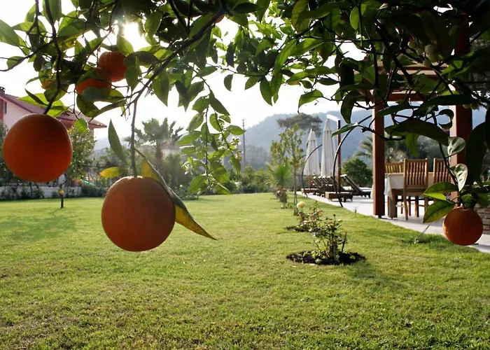 Gocek Arion 3* Göcek