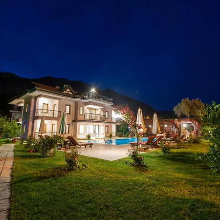 Gocek Arion