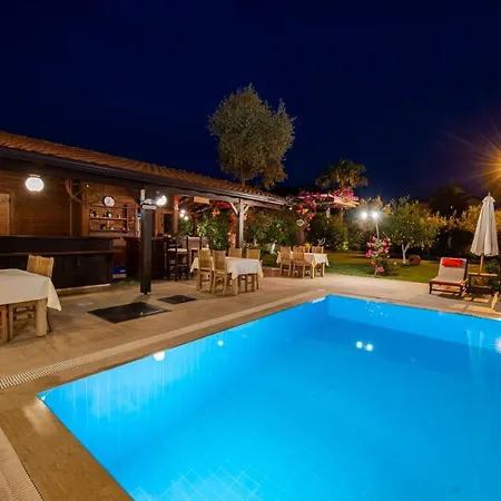 Gocek Arion ギョジェク