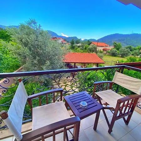 Gocek Arion גוג'ק