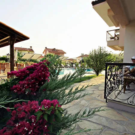 Gocek Arion ギョジェク