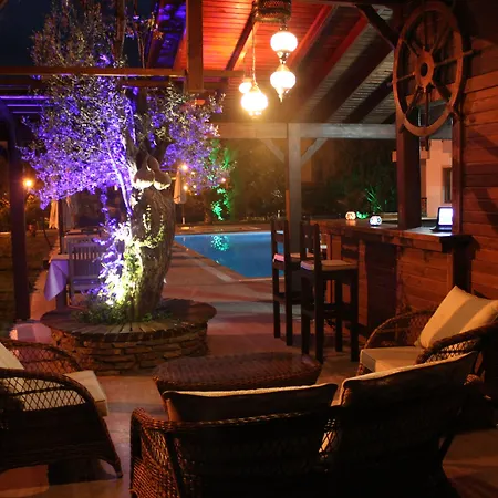 ホテル Gocek Arion 3*