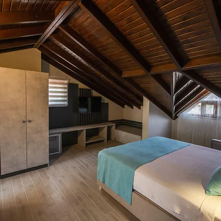 Gocek Arion 3* ギョジェク