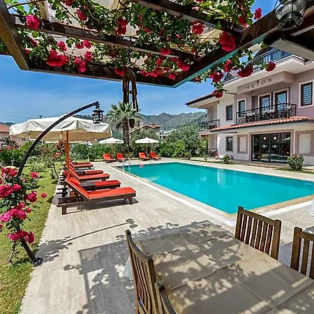 Gocek Arion