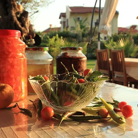 Gocek Arion 3* ギョジェク