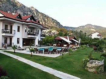 Gocek Arion