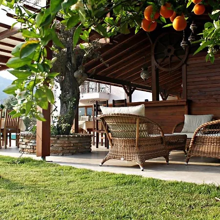 Hotel Gocek Arion Gocek (Fethiye)