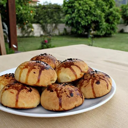 ホテル Gocek Arion